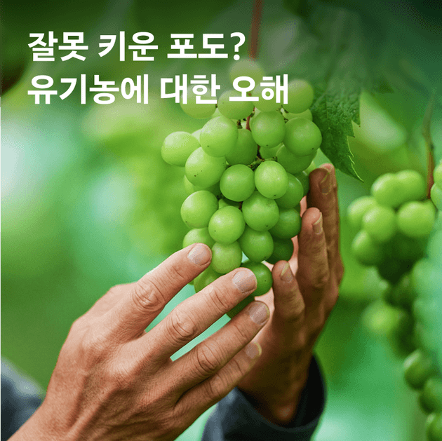 상품 A 이미지 1