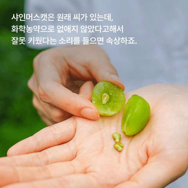 상품 A 이미지 2