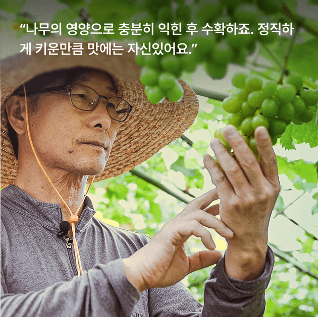 상품 A 이미지 3