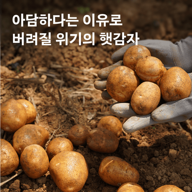 상품 B 이미지 1