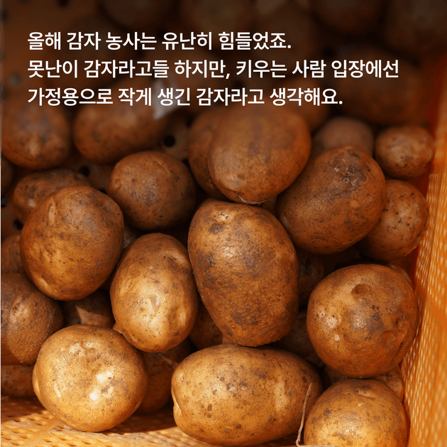 상품 B 이미지 2